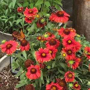 Meet your Posher, Esh